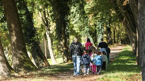 Grupa djece i odraslih osoba hoda stazom kroz drveće