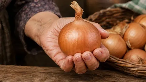 Starija ruka drži jednu zlatnu glavicu luka pored košare s lukom