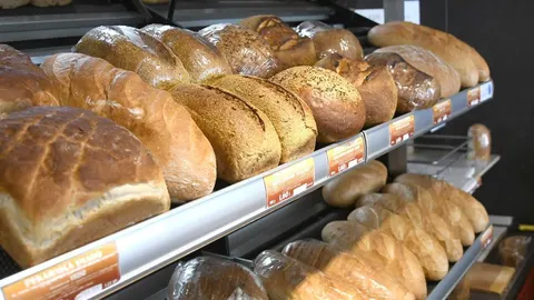 Različite vrste svježeg kruha i peciva izložene na policama u pekari