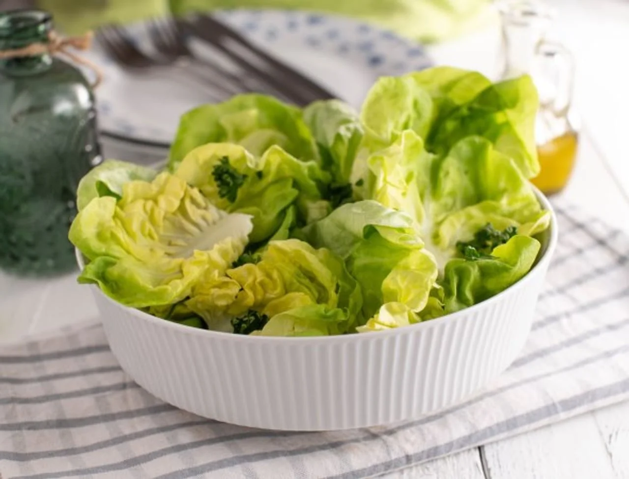 Bijela zdjela s niskim listovima svježe zelene salate