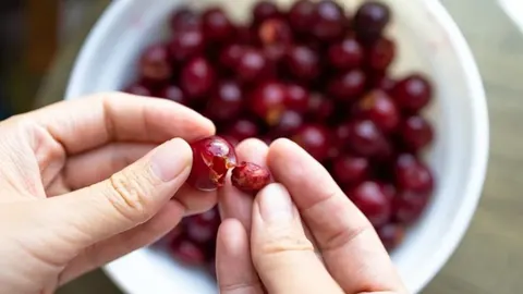 Ruke koje drže i čiste crveno višnje iz bijele zdjele