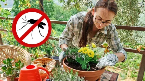 Žena u vrtnim rukavicama sadi cvijeće u teglu na balkonu uz znak protiv komaraca
