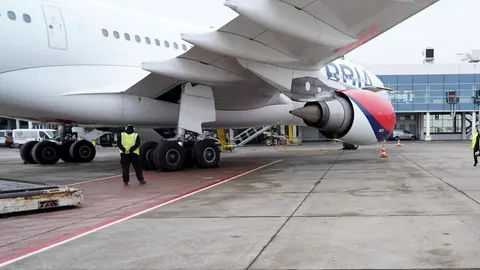 Veliki putnički zrakoplov na pisti beogradskog aerodroma uz osoblje