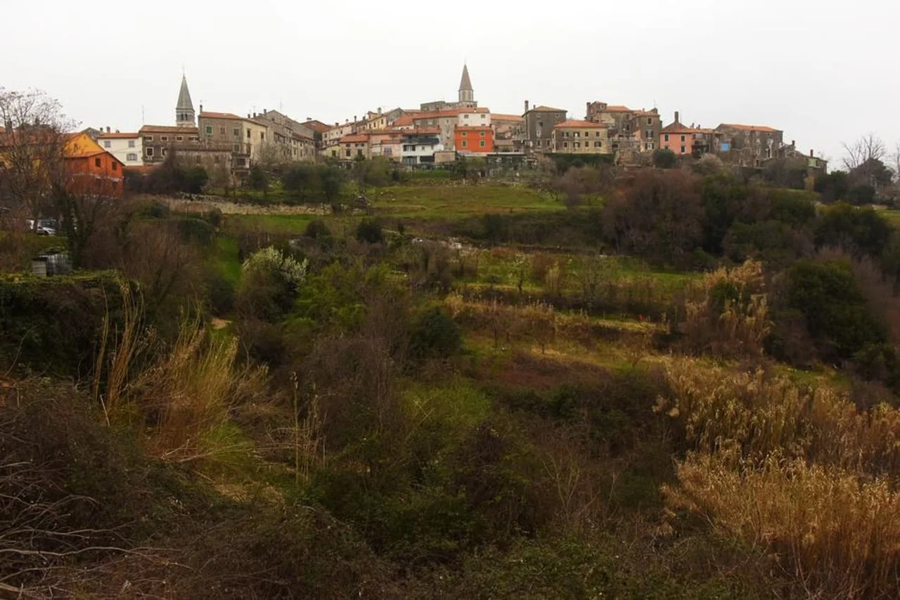 Panorama Buja smještenih na brežuljku s crkvenim tornjevima.
