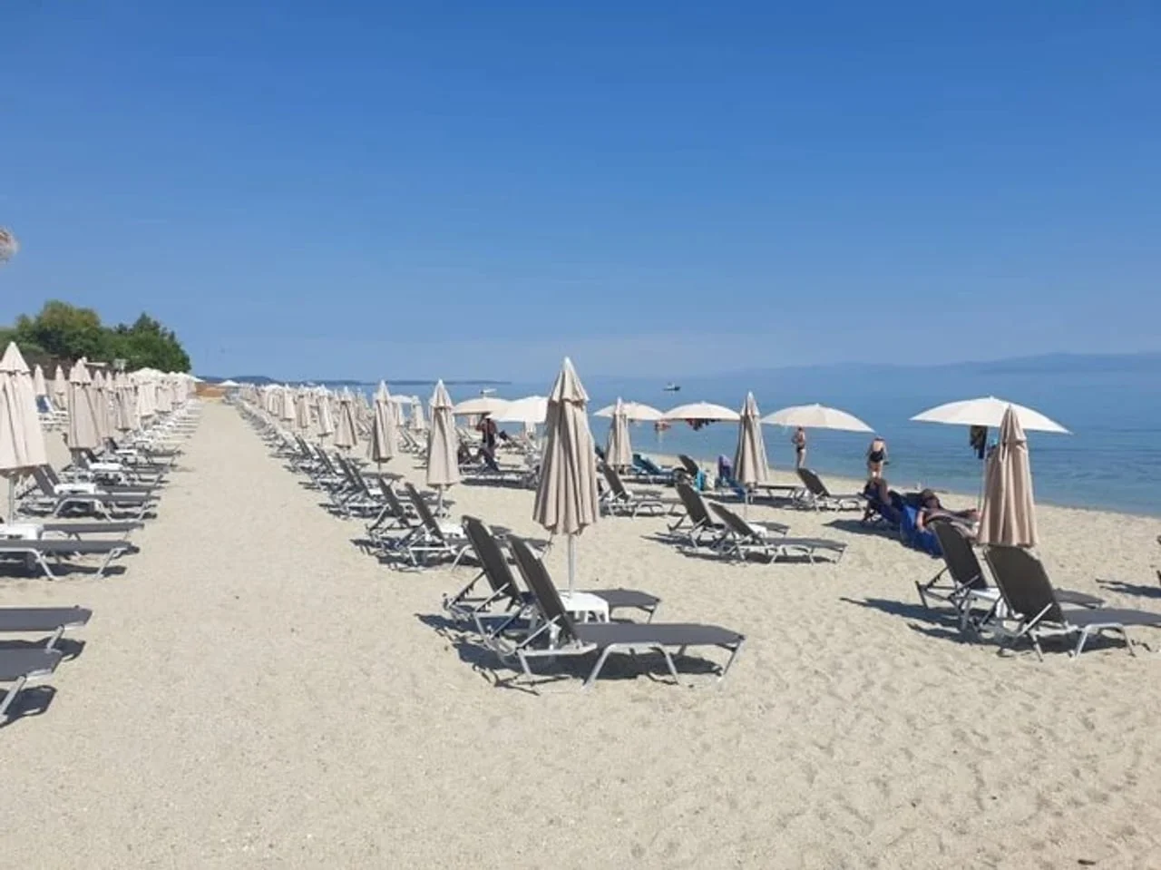 Redovi plažnih suncobora i ležaljki na pješčanoj plaži uz more