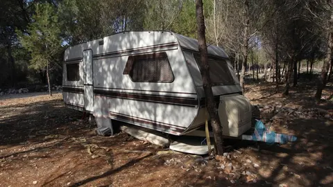 Bijeli kamp-vagon parkiran u šumi između drveća