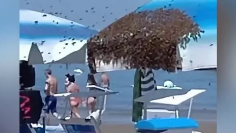 Veliki roj pčela koji prekriva suncobran na pješčanoj plaži