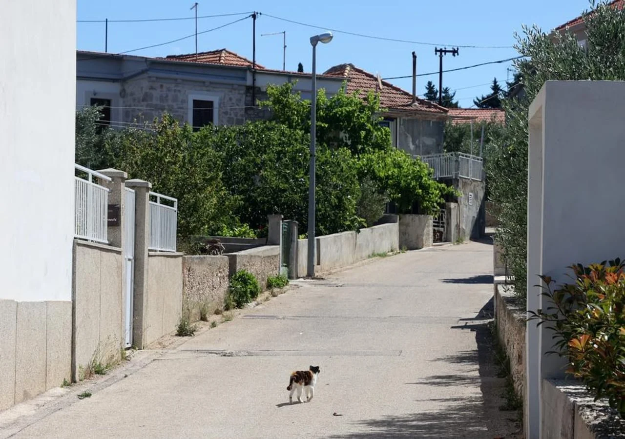 Uska ulica s kamenim kućama i mačka u prvom planu