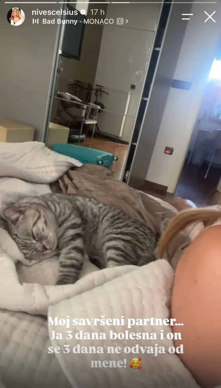 Siva prugasta mačka spava na bijelom plahtama u krevetu
