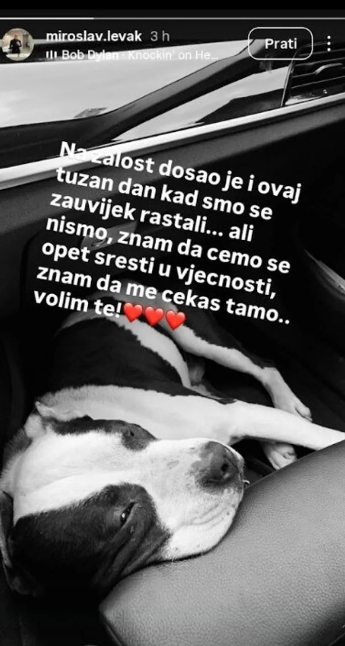 Crno-bela fotografija psa koji leži u automobilu s tekstom o oproštaju