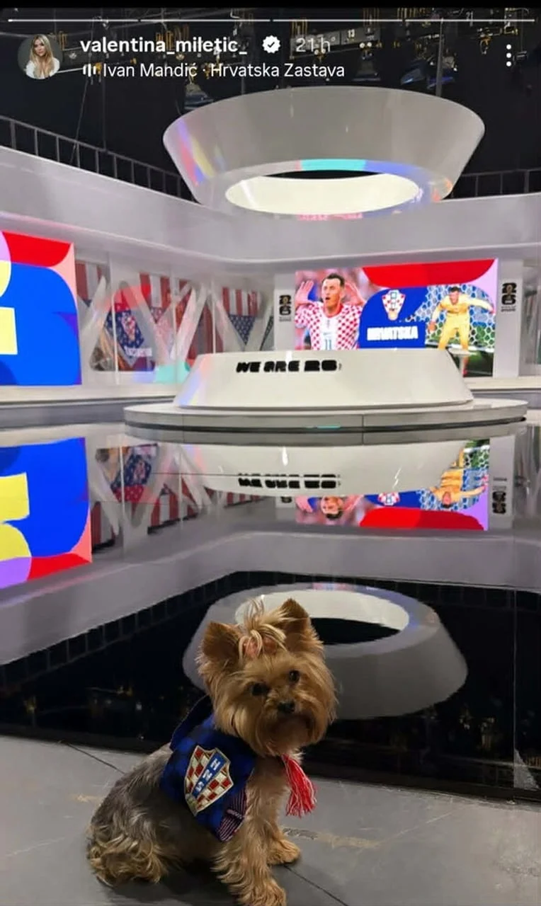 Mali pas s hrvatskim šalom u modernom TV studiju za nogomet