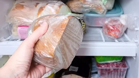 Ruka koja drži zamrznutu inđunsku štruku kruha u plastičnoj vrećici