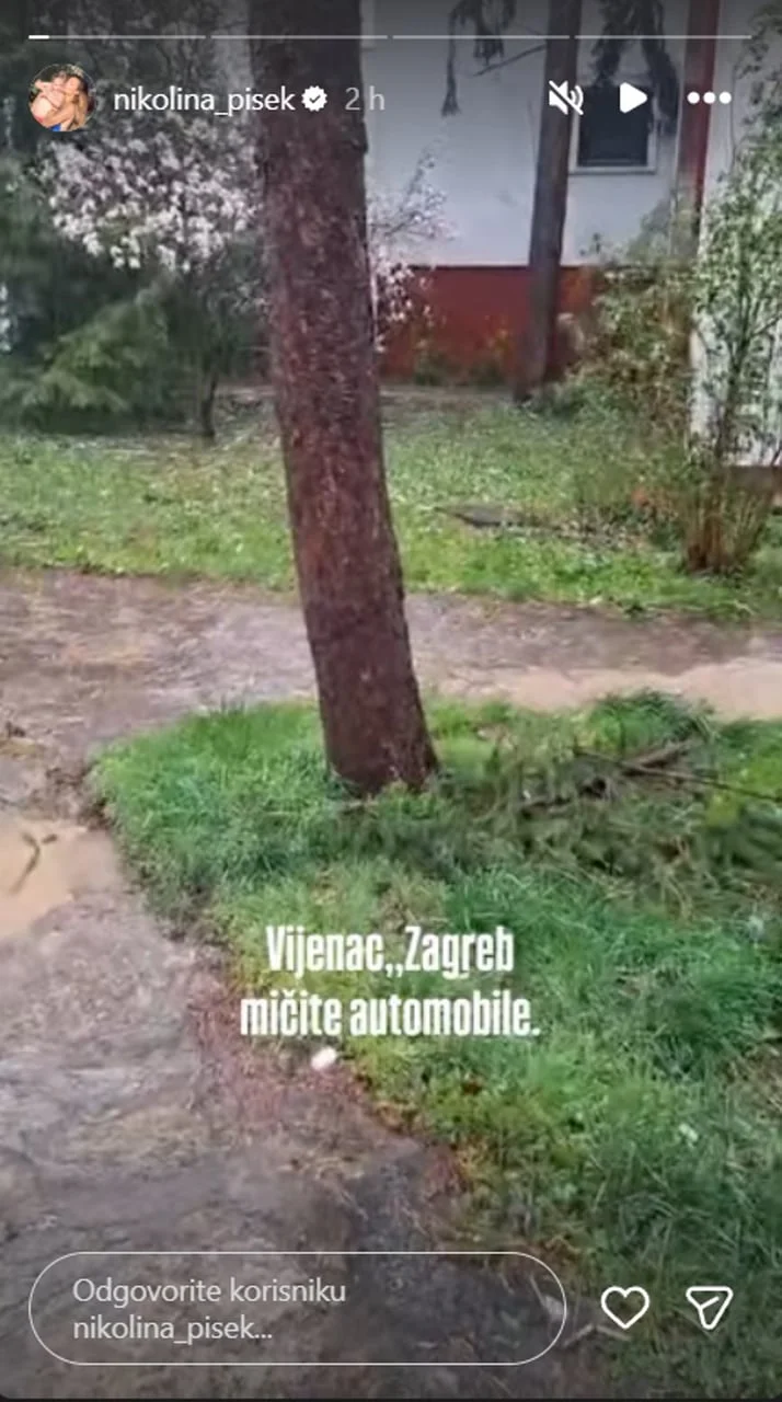 Stablo bora u dvorištu tijekom nevremena u Zagrebu