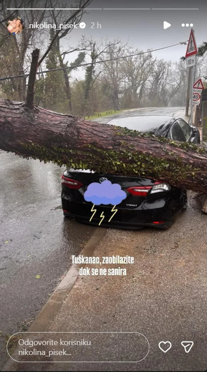 Veliko stablo palo na crni automobil na Tuškancu