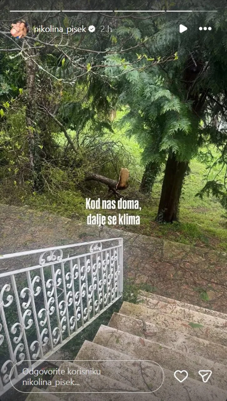 Srušene grane i oštećeno drveće ispred kuće