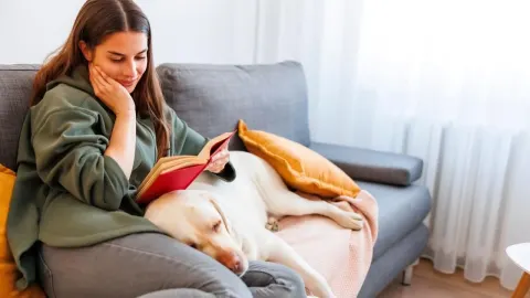 Žena čita knjigu na kauču s psom u dnevnom boravku
