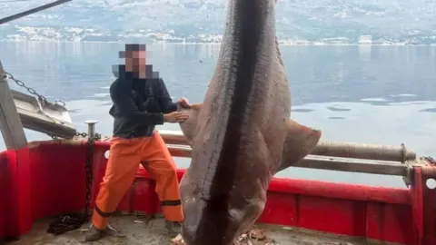 Ribar na brodu pored velikog morskog psa glavonje podignutog iz mora.