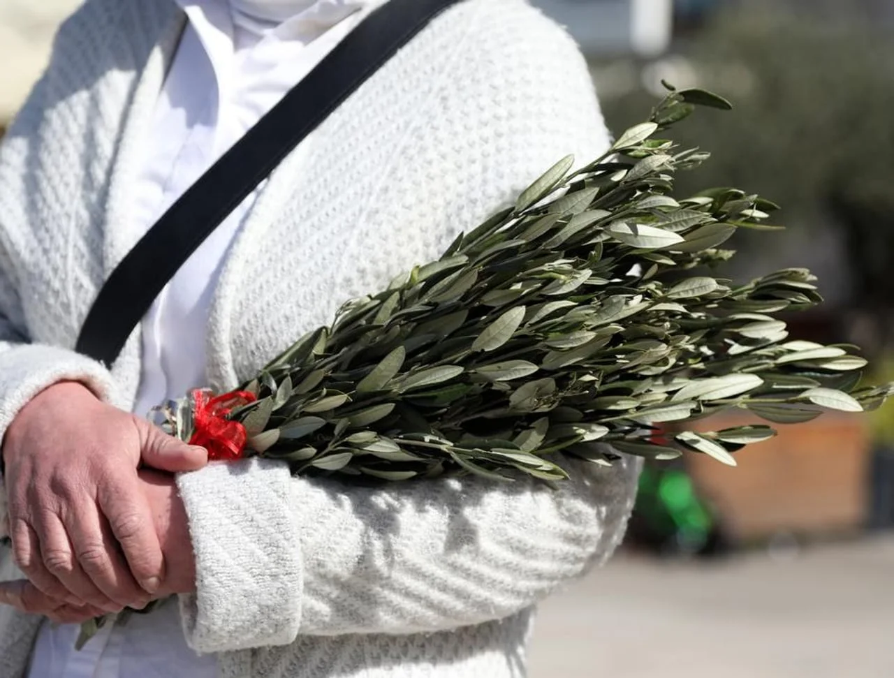 Osoba u vunenom džemperu drži svježe maslinove grančice