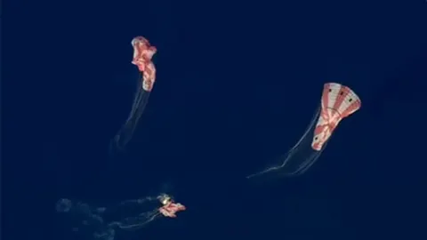 Tri crveno-bijela padobrana spuštaju se kroz tamno plavo nebo.