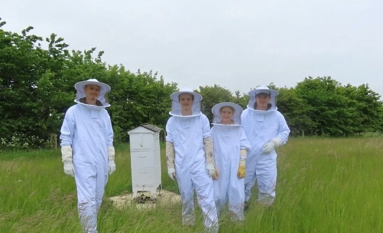 Četiri osobe u bijelim pčelarskim odijelima stoje na livadi pored košnice