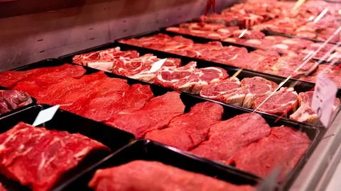 Različiti komadi svježeg crvenog mesa izloženi u rashladnoj vitrini mesnice.