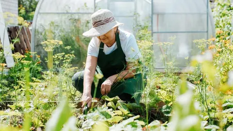 Starija žena sa šeširom radi u zelenom vrtu ispred plastenika.