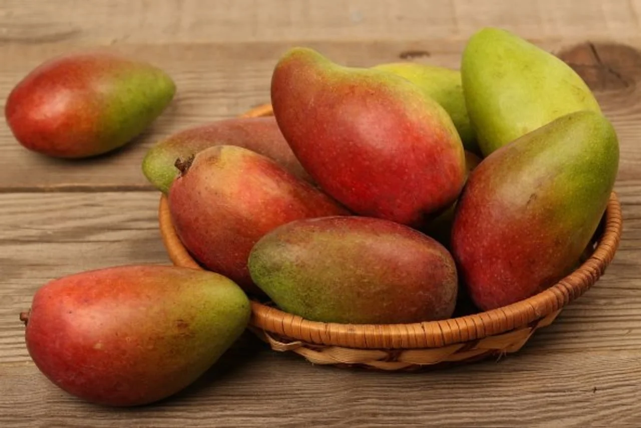 Zreli plodovi manga u pletenoj košarici na drvenoj podlozi.