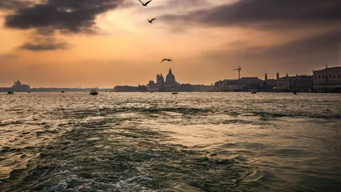 Panoramski pogled na venecijansku lagunu i baziliku Santa Maria della Salute u sumrak.