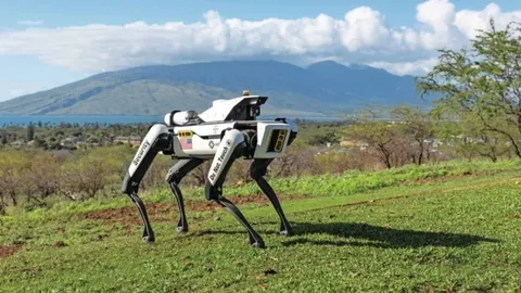 Bijeli robotski pas s oznakama osiguranja stoji na zelenom polju na Havajima.