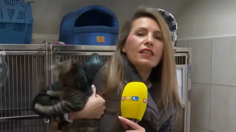Reporterka Ružica Đukić drži nemirnu mačku tijekom izvještavanja s mikrofonom u ruci.