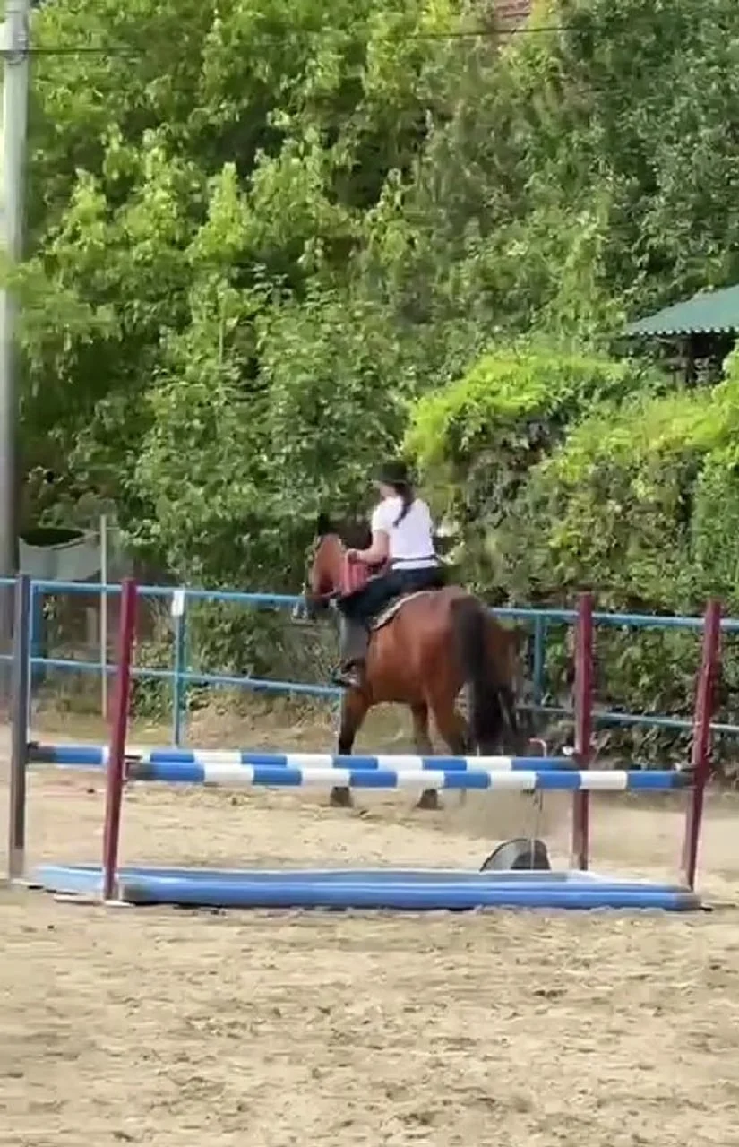 Mlada jahačica na smeđem konju preskače prepreku na pješčanom terenu