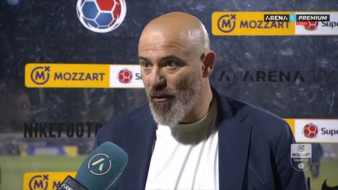 Dejan Stanković daje izjavu pred televizijskim mikrofonima nakon utakmice.