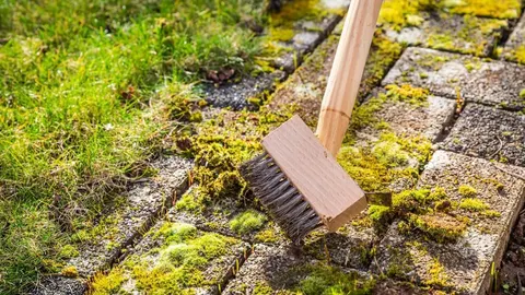 Drvena četka uklanja zelenu mahovinu između betonskih ploča na stazi.